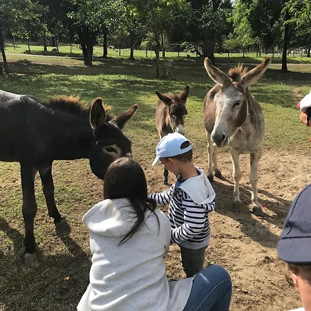 Mobil Xxl 4 - Les Lacs D'armagnac Camping *