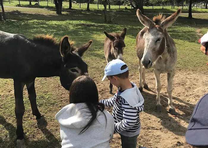 Mobil Xxl 4 - Les Lacs D'armagnac Camping *